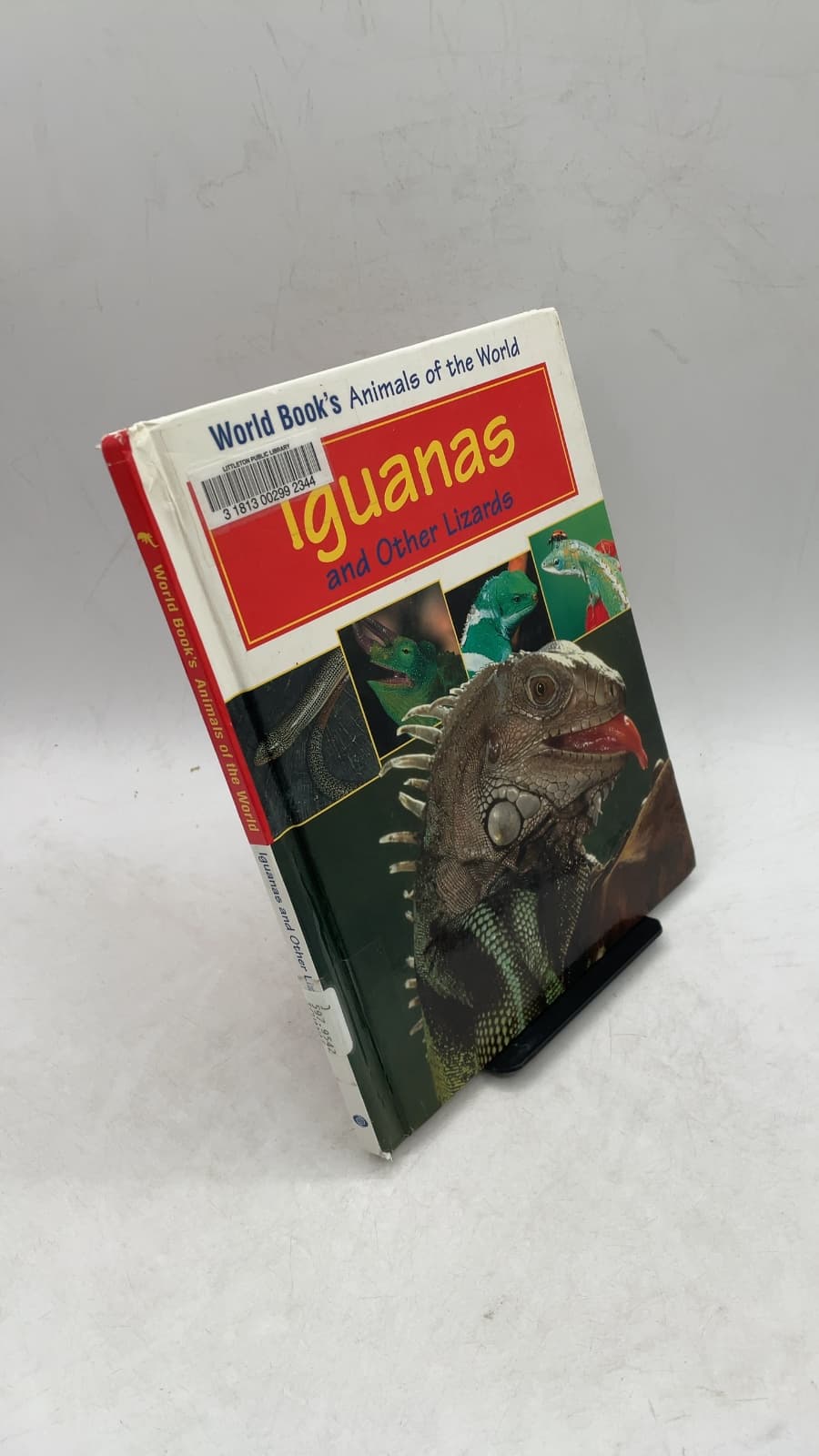 Iguanas and Other Lizards by Karen Ingebretsen - front cover