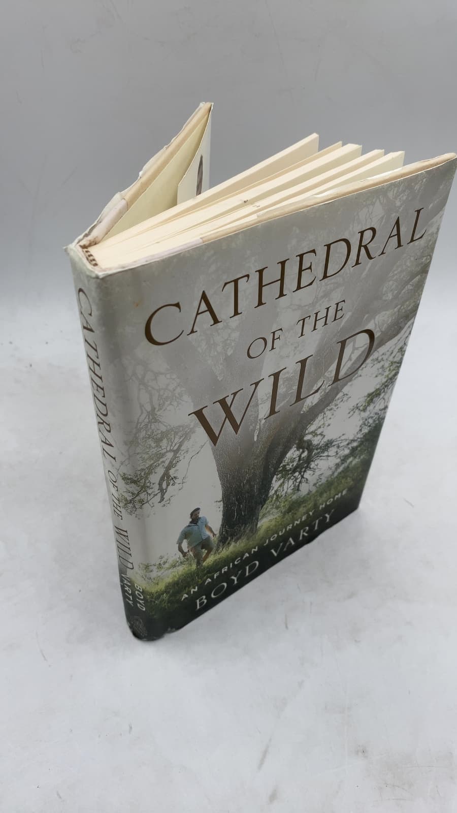 Cathedral of the Wild: An African Journey Home by Boyd Varty - front cover
