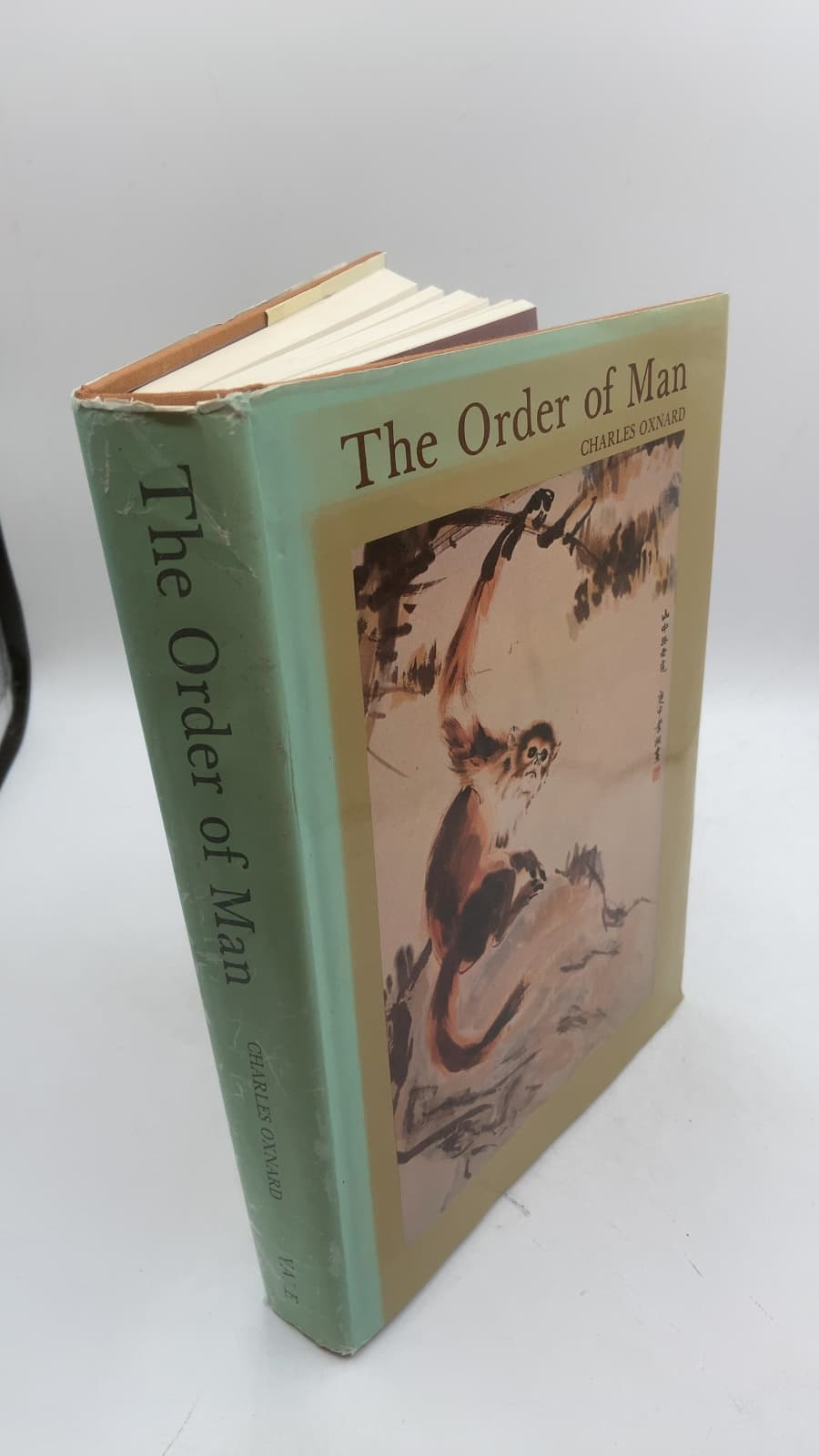 The Order of Man: A Biomathematical Anatomy of the Primates by Charles E. Oxnard - front cover