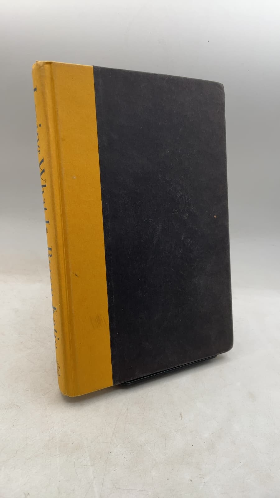Loving What IS by Byron Kathleen Mitchell - front cover