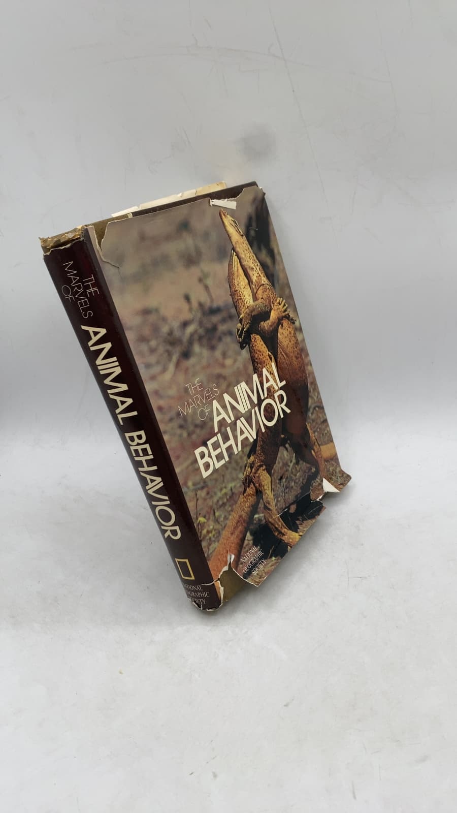 The Marvels of Animal Behavior
