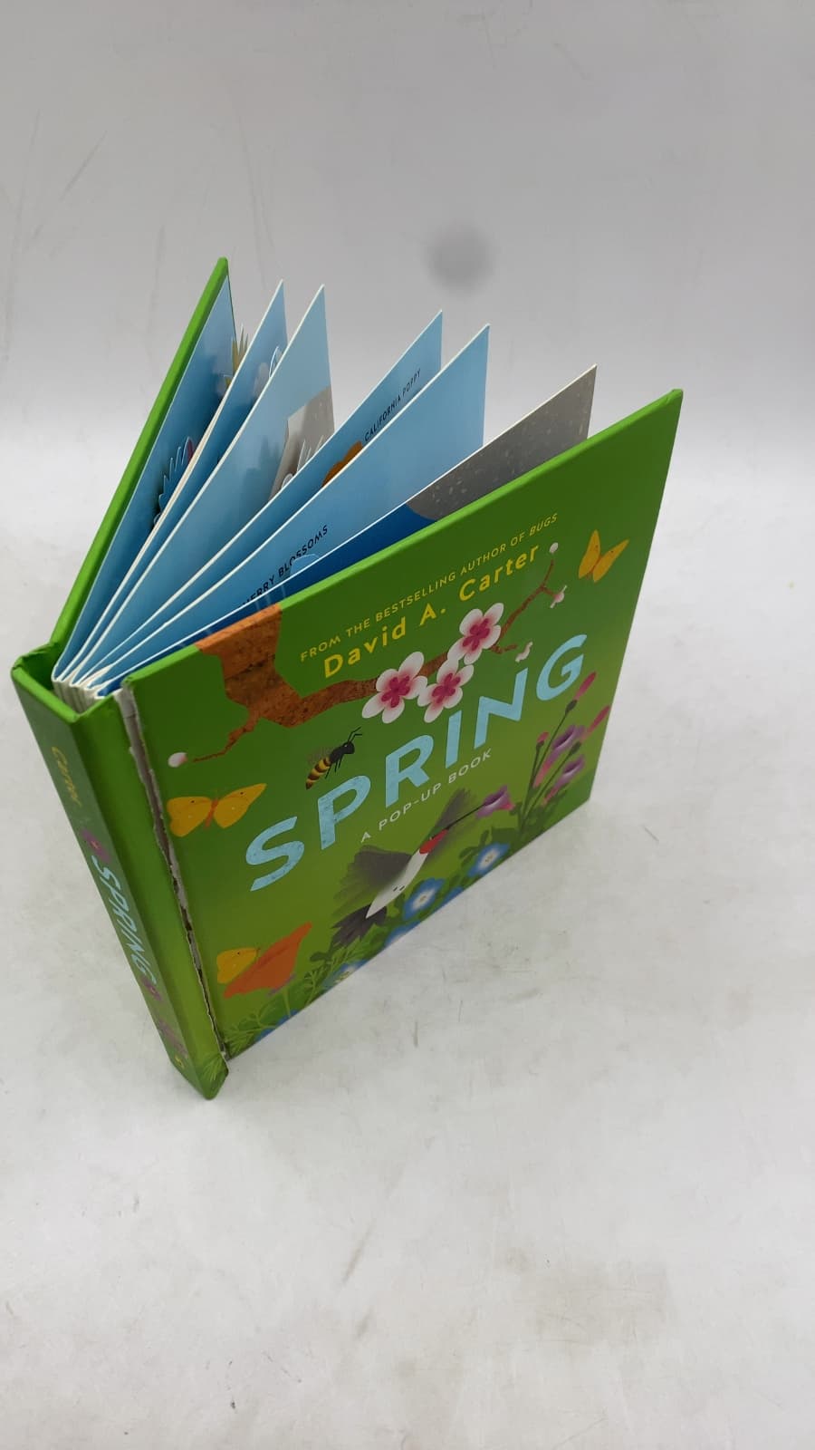 Spring: A Pop-Up Book by David A. Carter - front cover