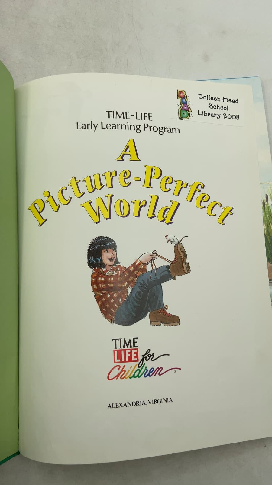 A Picture-Perfect World by Susan McGrath - title page