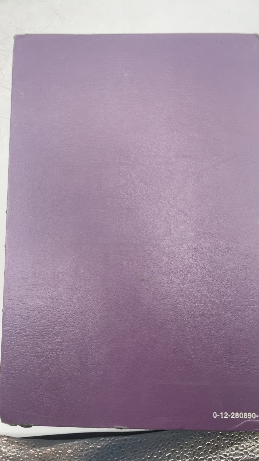 Handbook of Psycholinguistics by Morton Ann Gernsbacher - additional view