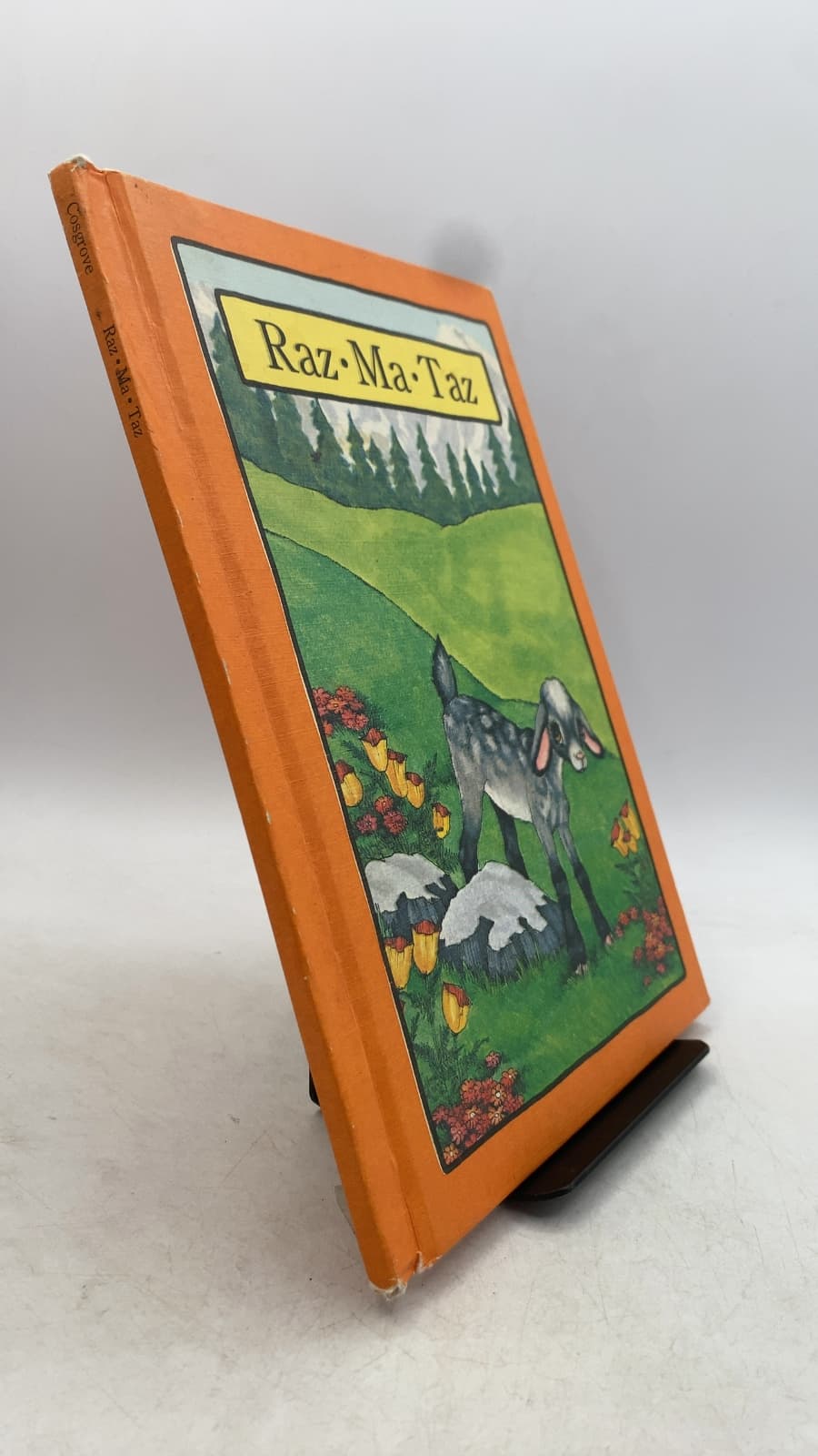 Raz-Ma-Taz
