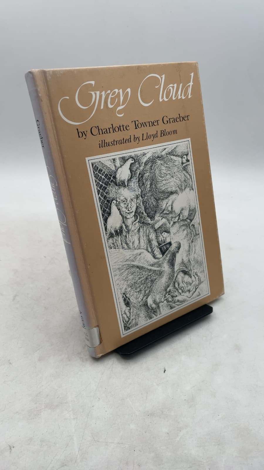 Grey Cloud by Charlotte Towner Graeber - front cover