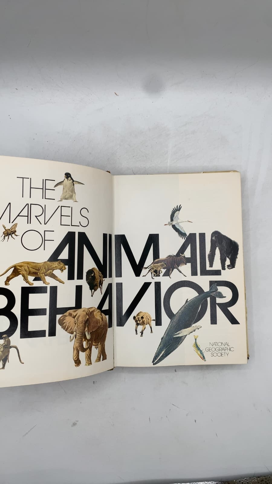 The Marvels of Animal Behavior by Peter R. Marler (Editorial Consultant) - title page