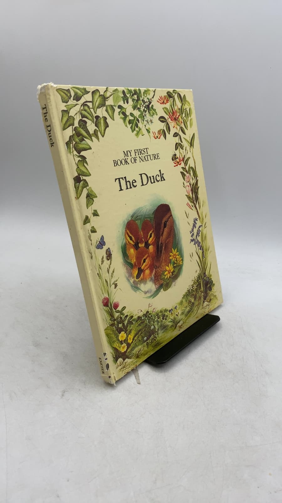 The Duck by Angela Sheehan - front cover