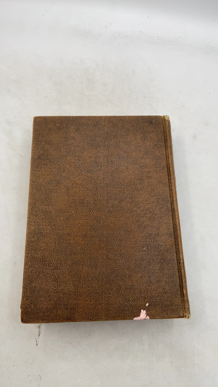 Bible Story Book by Elsie E. Egermeier - additional view