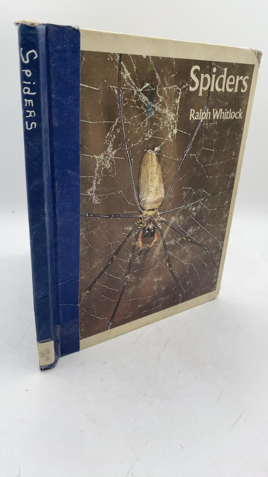 Spiders by Ralph Whitlock - front cover