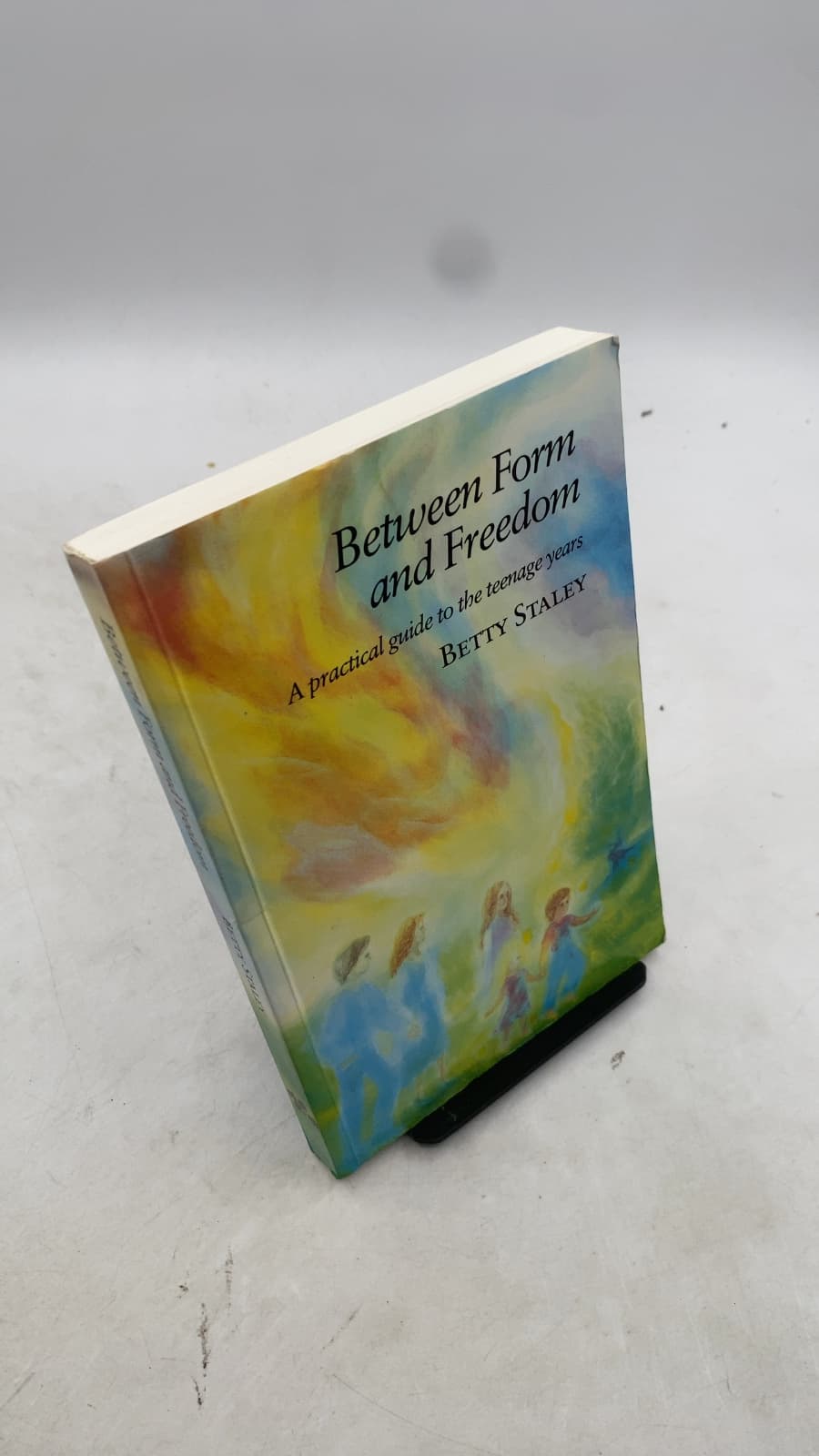 Between Form and Freedom: A practical guide for the teenage years by Betty Staley - front cover