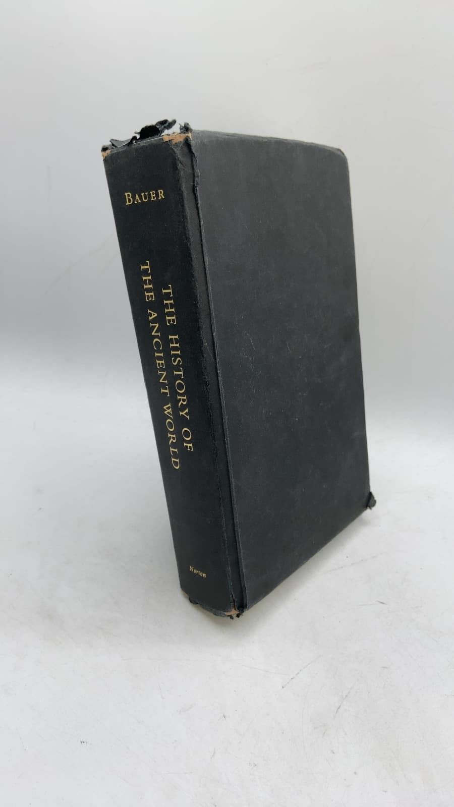 The History of the Ancient World: From the Earliest Accounts to the Fall of Rome