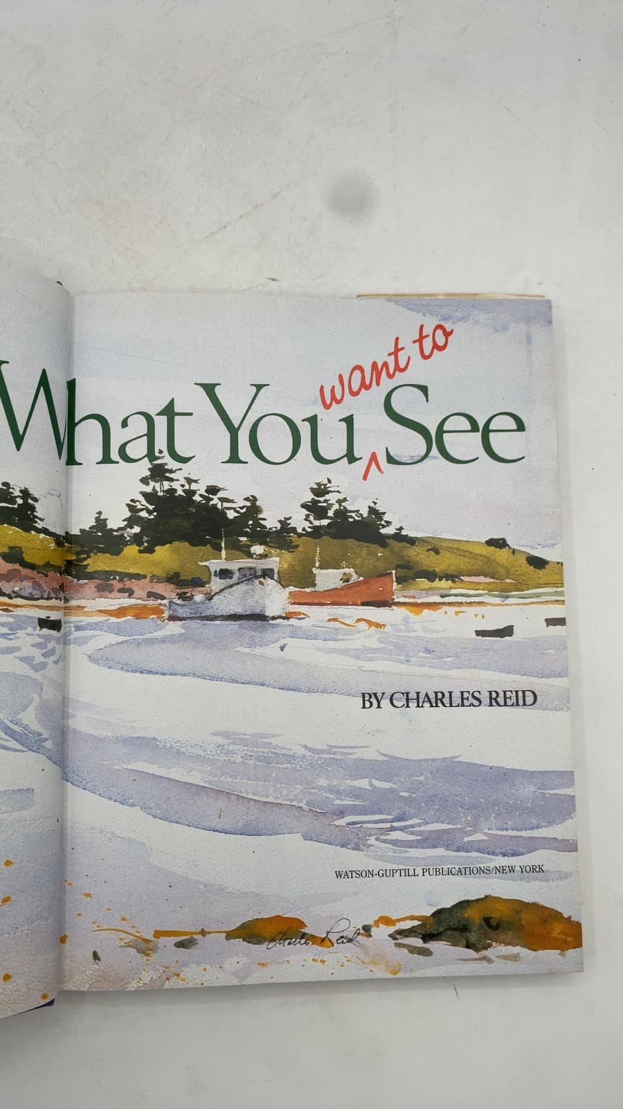 Painting What You Want to See by Charles Reid - title page