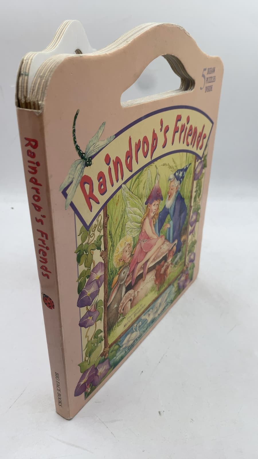 Raindrop's Friends by Emma Goodsir - front cover