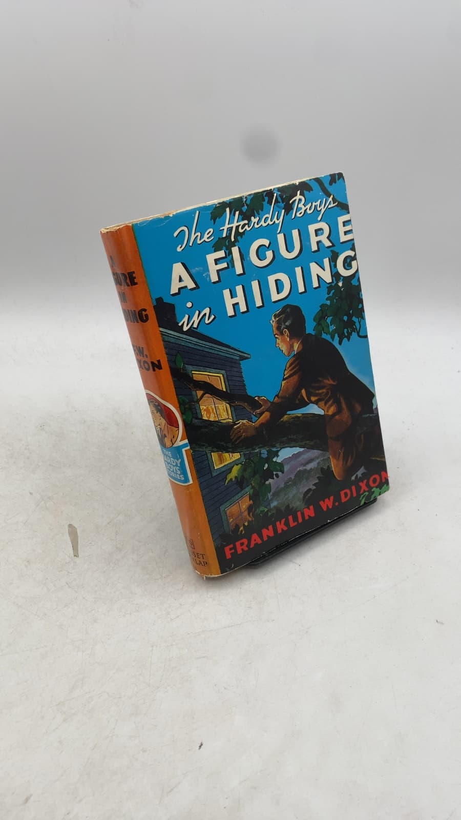 A Figure in Hiding