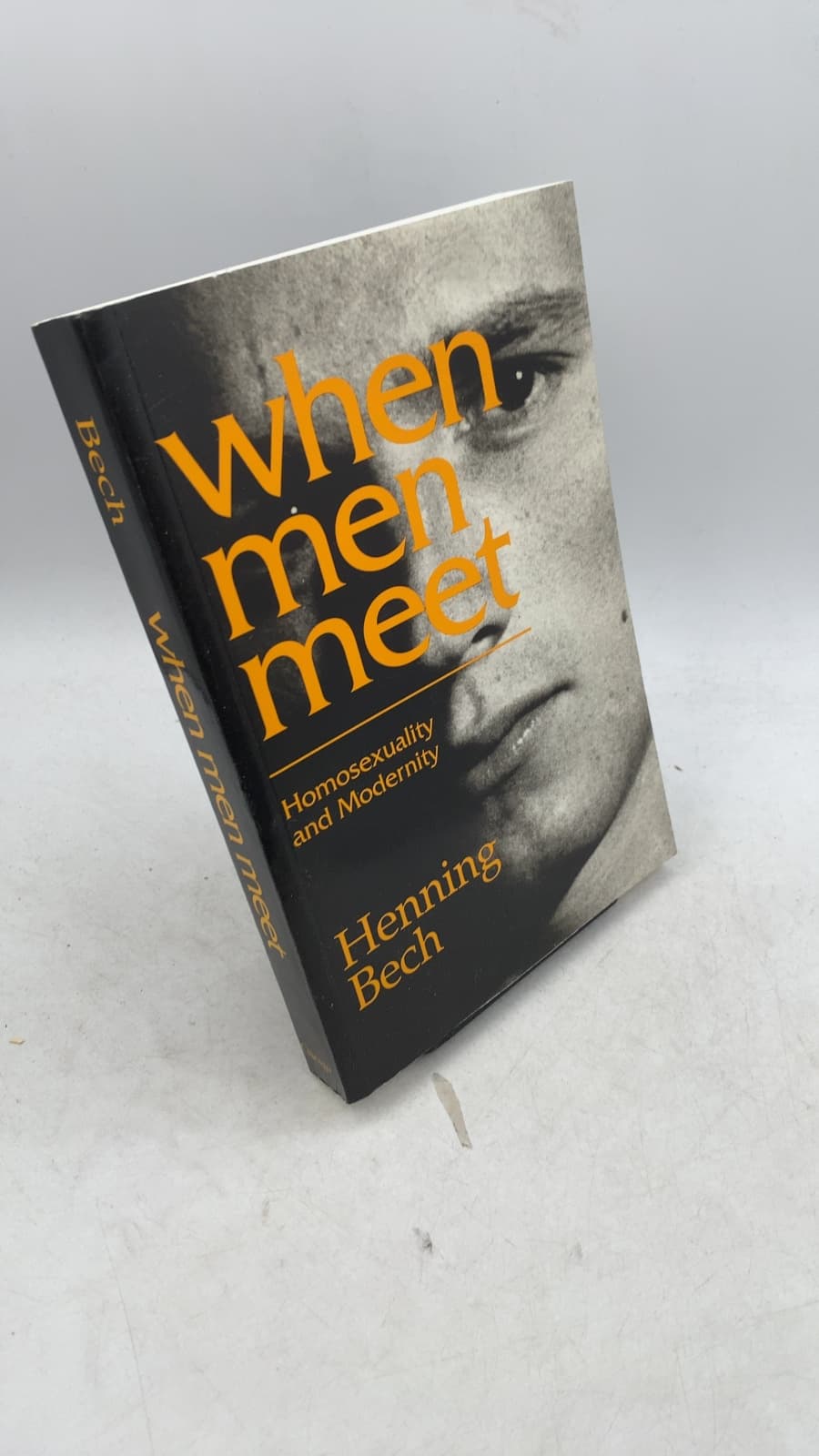 When Men Meet: Homosexuality and Modernity by Henning Bech - front cover