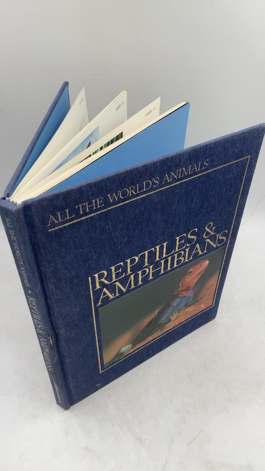 All the World's Animals: Reptiles & Amphibians by Edited by Tim R. Halliday and Kraig Adler - front cover