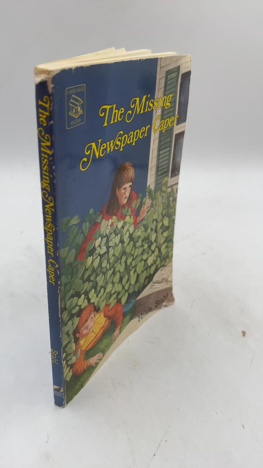 The Missing Newspaper Caper
