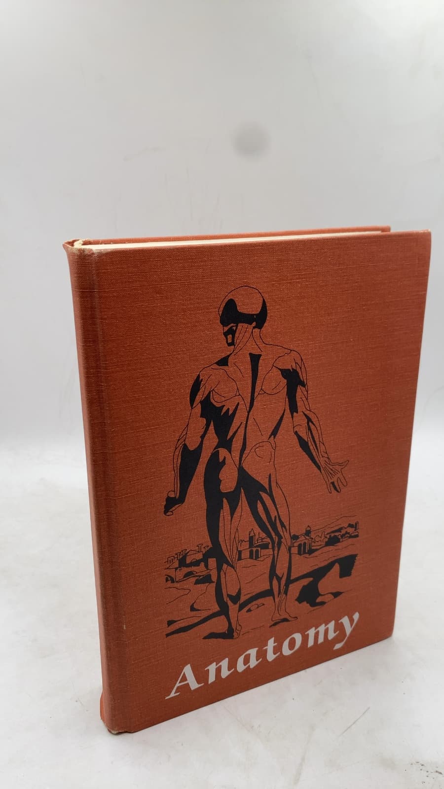 Anatomy: A Regional Study of Human Structure by Ronan O'Rahilly, M.D. - front cover