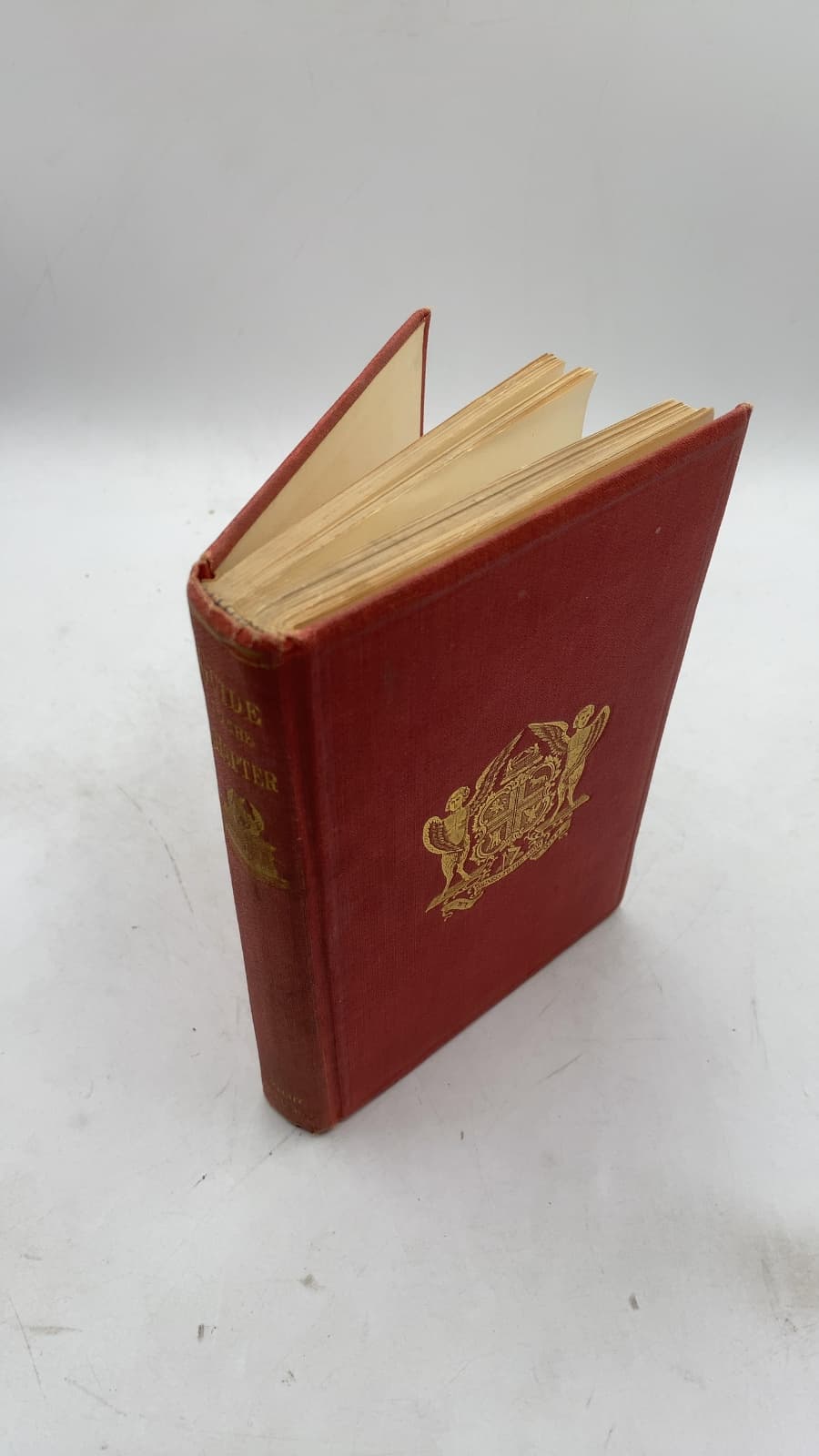 Guide to the Royal Arch Chapter: A Complete Monitor for Royal Arch Masonry by John Sheville and James L. Gould - front cover