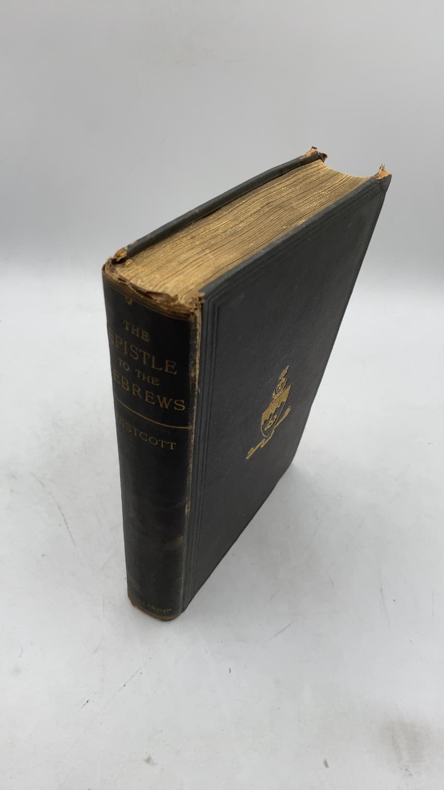 The Epistle to the Hebrews: The Greek Text with Notes and Essays by Brooke Foss Westcott, D.D., D.C.L. - front cover