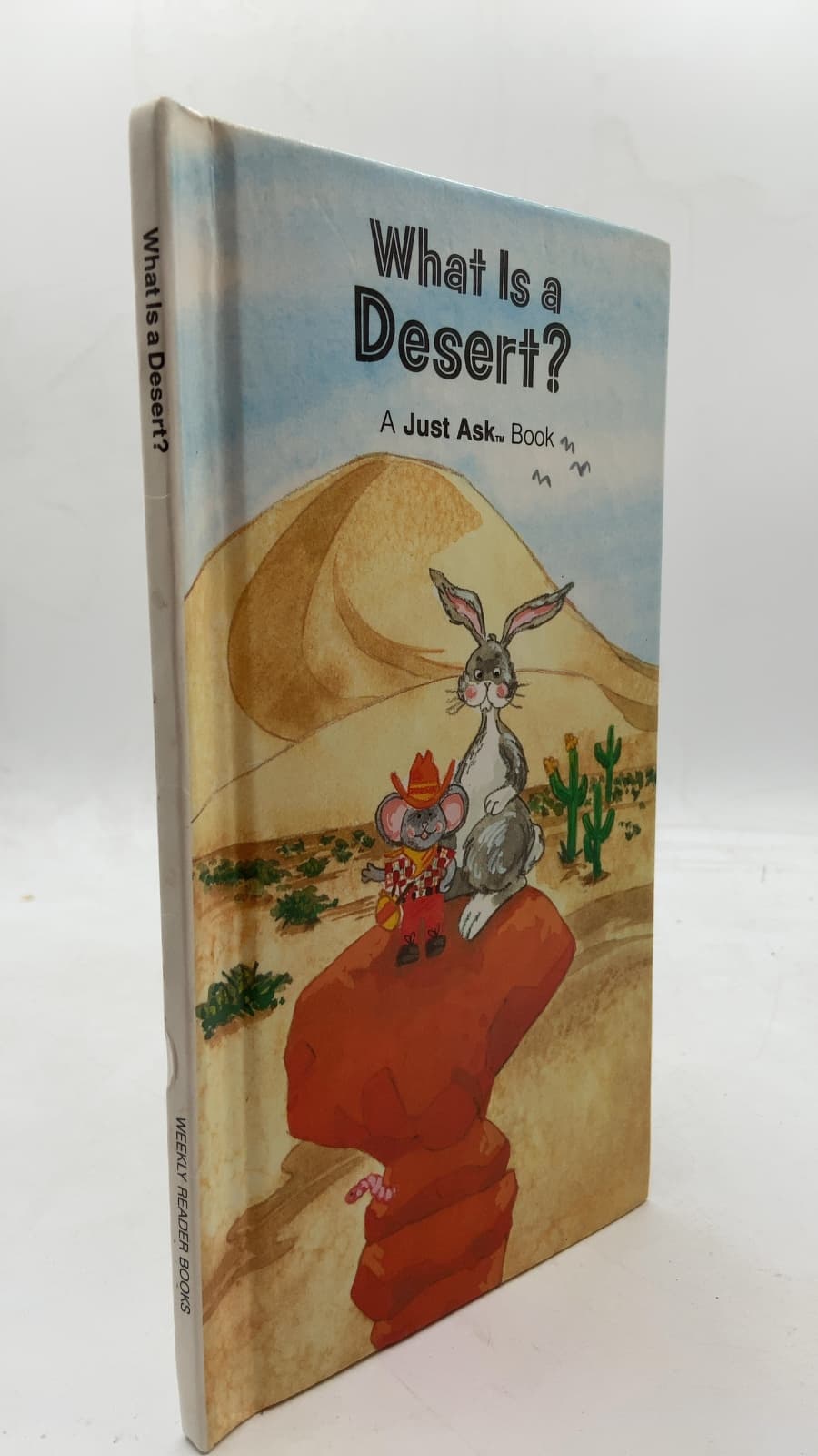 What Is a Desert? by Chris Arvetis and Carole Palmer - front cover
