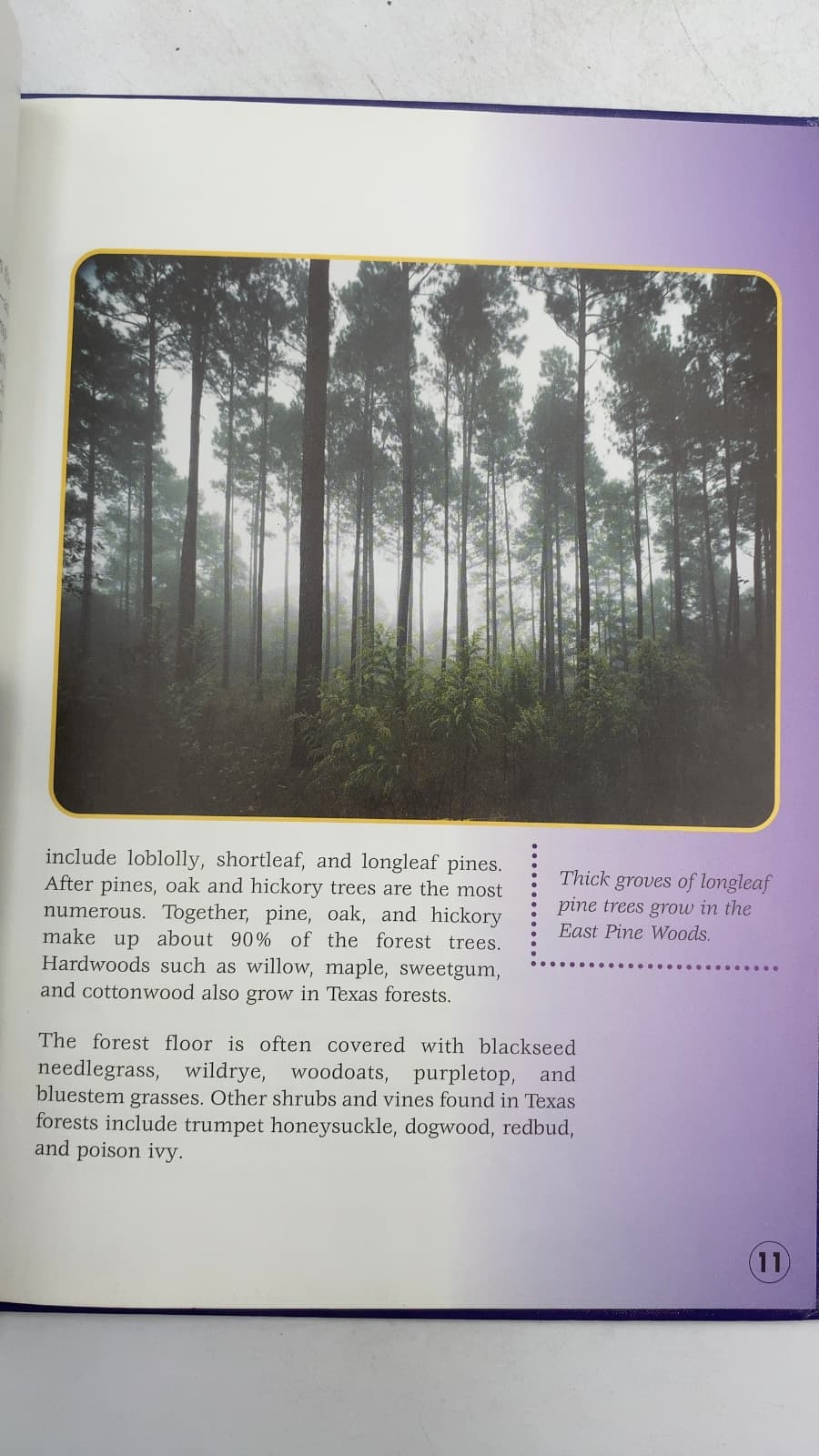 Texas Plants and Animals by Mary Dodson Wade - additional view