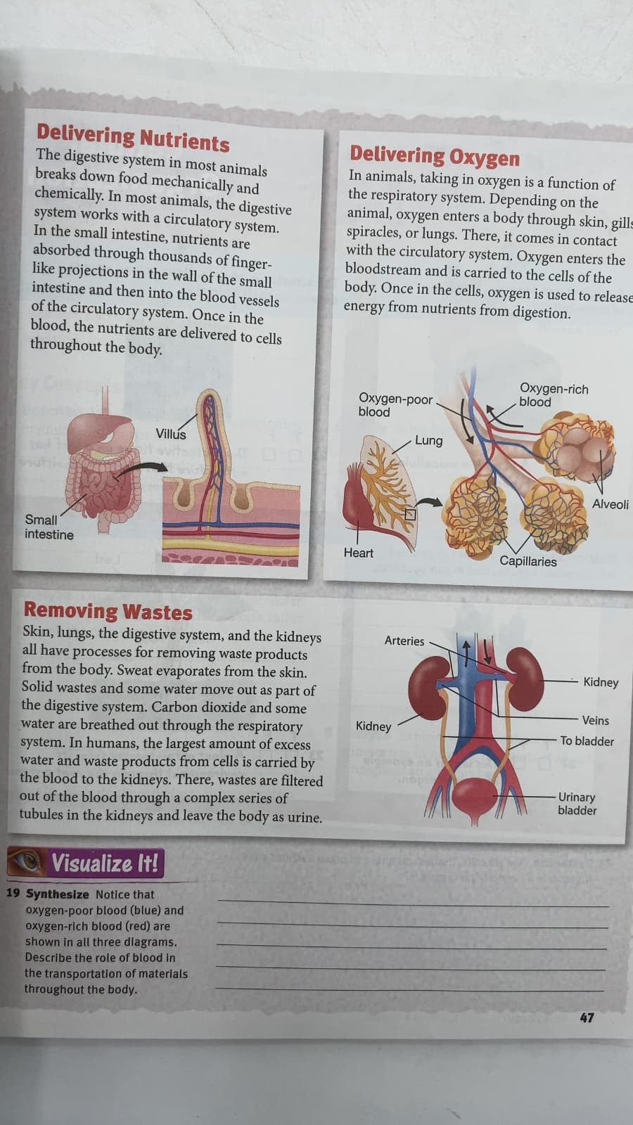 Science Fusion: Cells and Heredity by Michael A. DiSpezio, Marjorie Frank - additional view