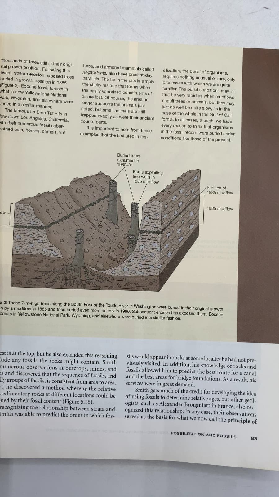 Historical Geology: Evolution of Earth and Life Through Time by Reed Wicander, James S. Monroe - additional view