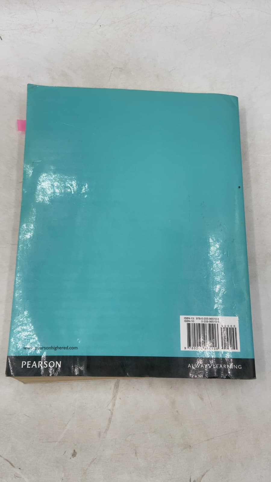 Techniques and Guidelines for Social Work Practice by Bradford W. Sheafor, Charles R. Horejsi - additional view
