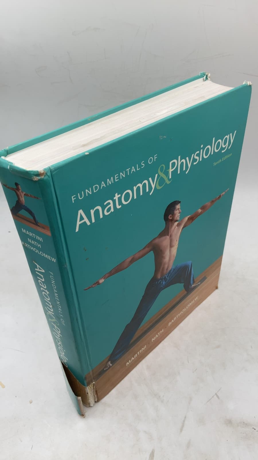 Fundamentals of Anatomy & Physiology, Tenth Edition by Frederic H. Martini, Judi L. Nath, Edwin F. Bartholomew - front cover