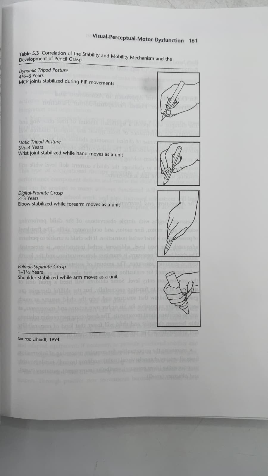 Functional Visual Behavior: A Therapist's Guide to Evaluation and Treatment Options by Michele Gentile, MA, OTR/L (Editor) - additional view