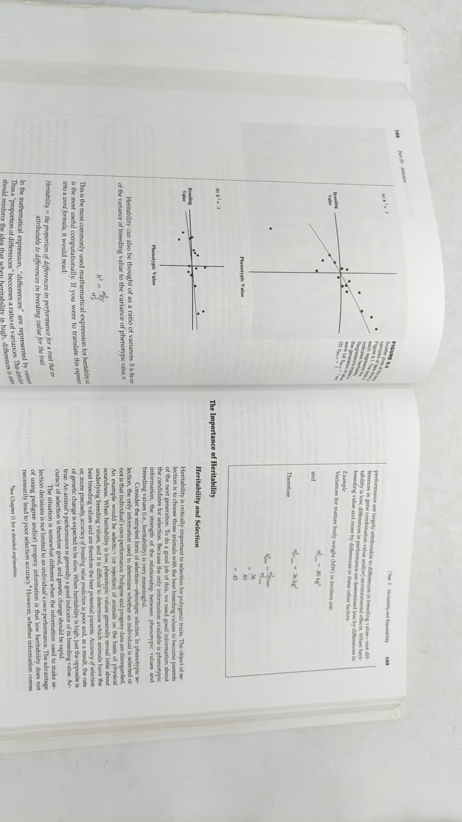 Understanding Animal Breeding by Richard M. Bourdon - additional view