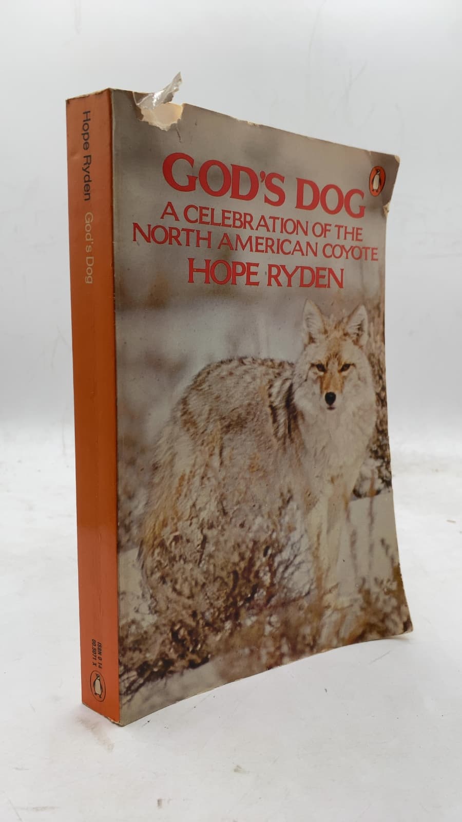God's Dog: A Celebration of the North American Coyote