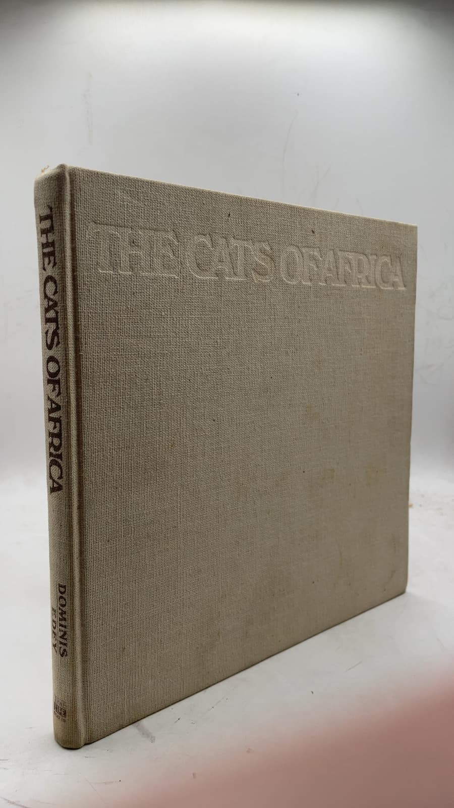 THE Cats OF Africa