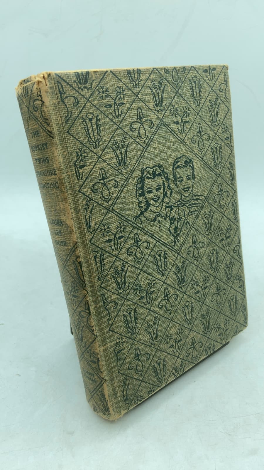 The Bobbsey Twins Treasure Hunting