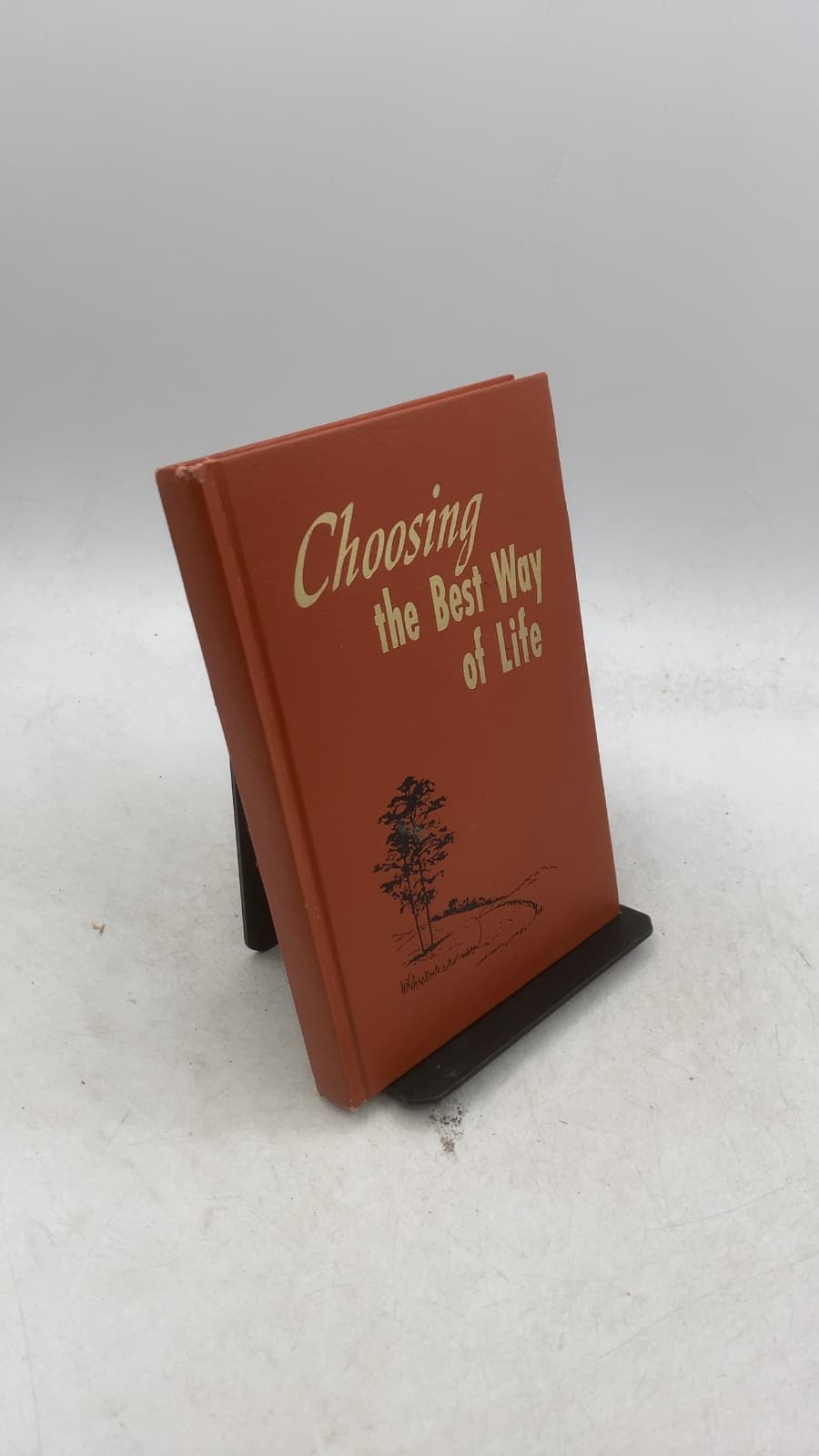 Choosing the Best Way of Life