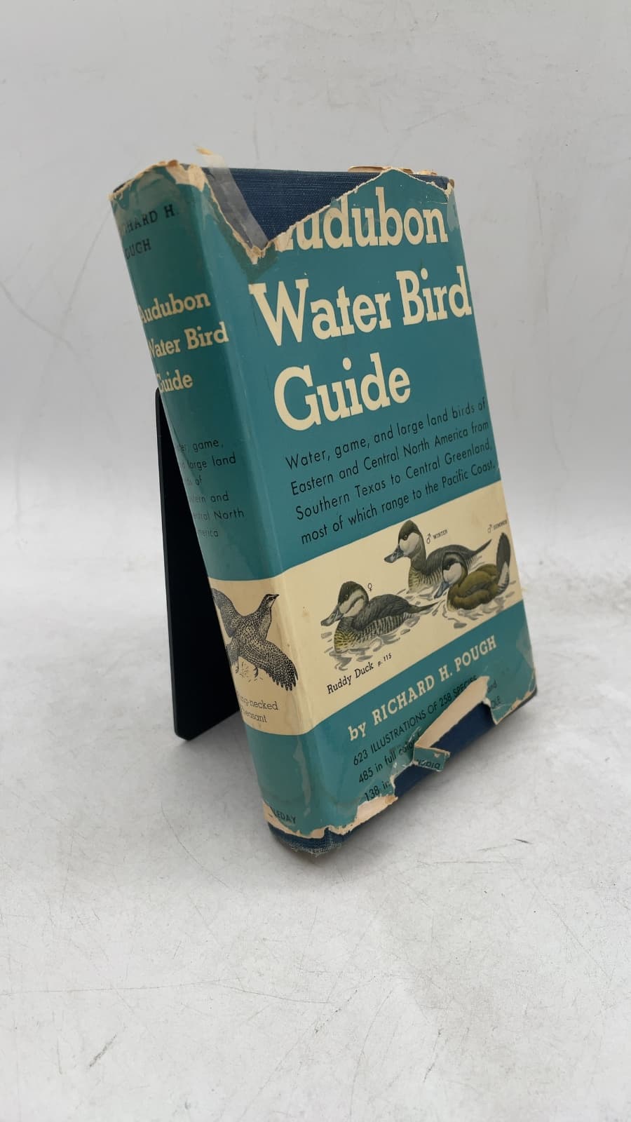 Audubon Water Bird Guide