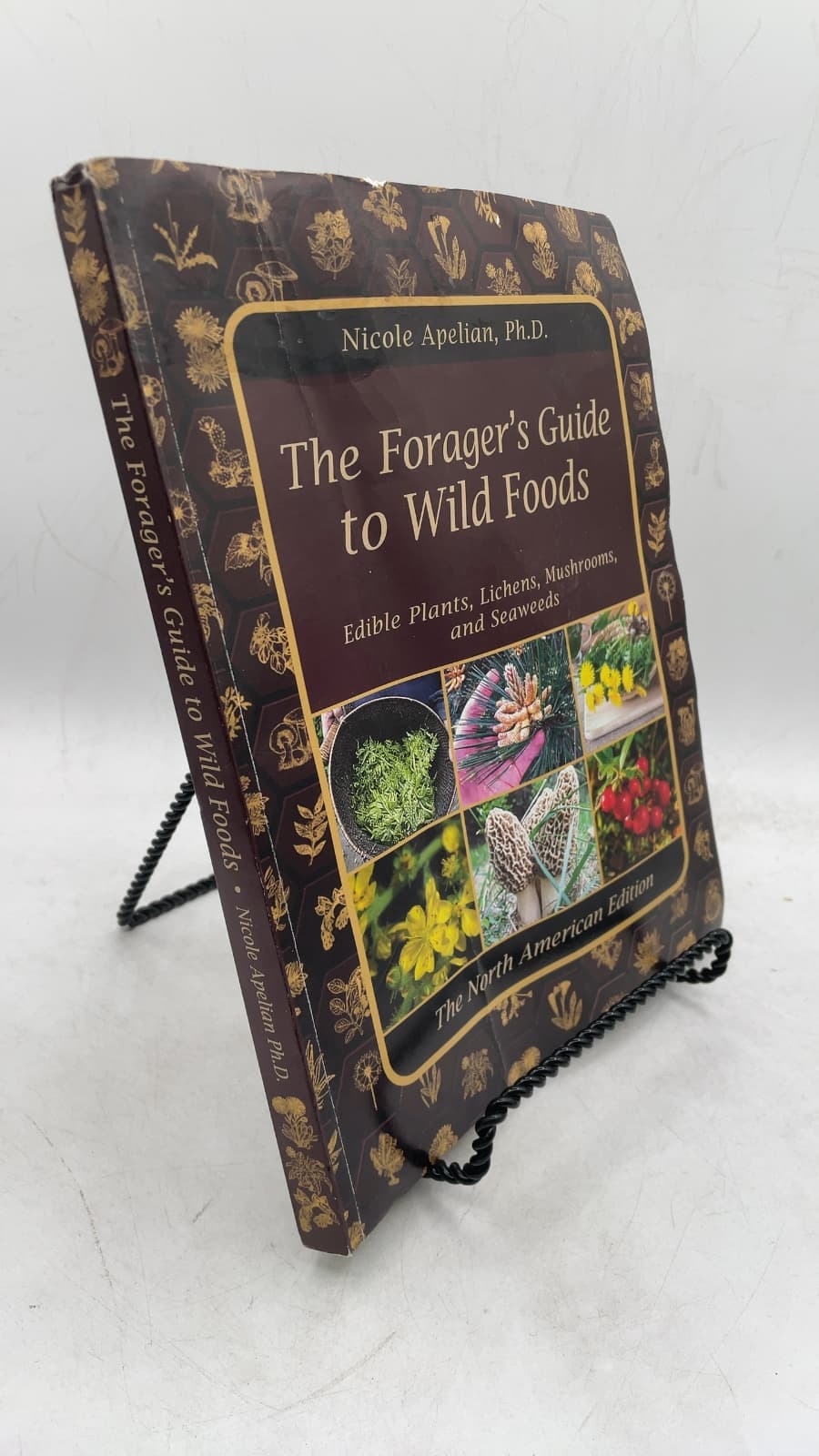 The Forager's Guide to Wild Foods: Edible Plants, Lichens, Mushrooms, and Seaweeds (North American Edition)