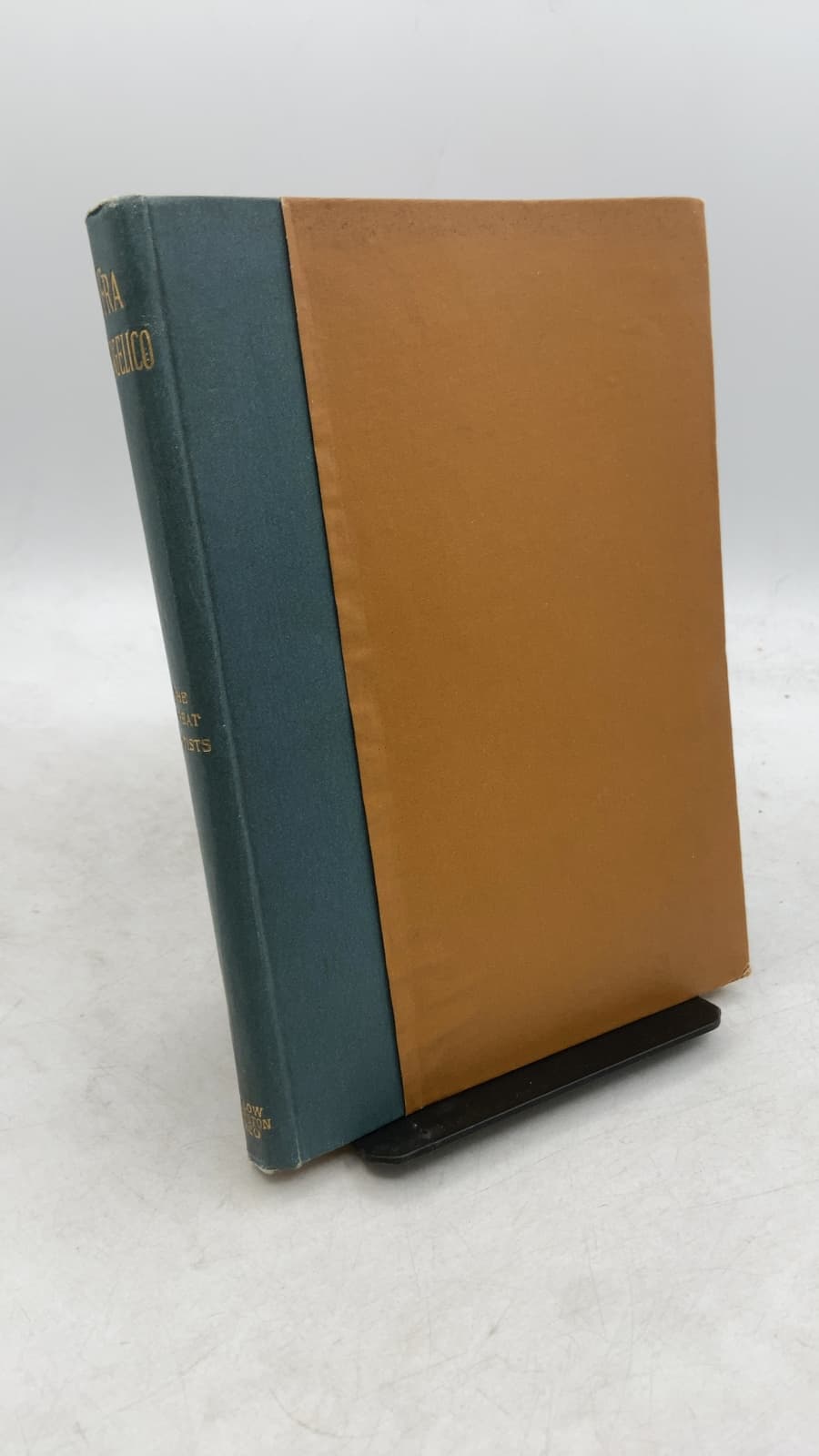 Fra Giovanni Angelico da Fiesole and the Early Florentine Painters of the Fifteenth Century by C. M. Phillimore - front cover