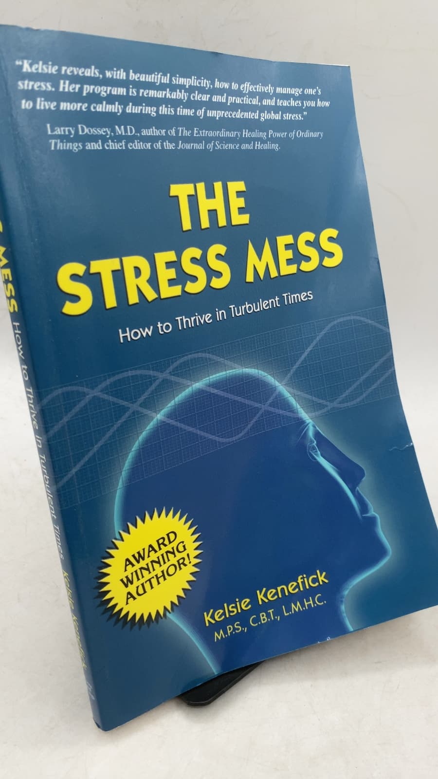 The Stress Mess: How to Thrive in Turbulent Times by Kelsie Kenefick - front cover