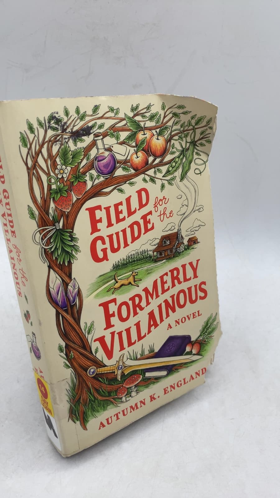 Field Guide for the Formerly Villainous by Autumn K. England - front cover