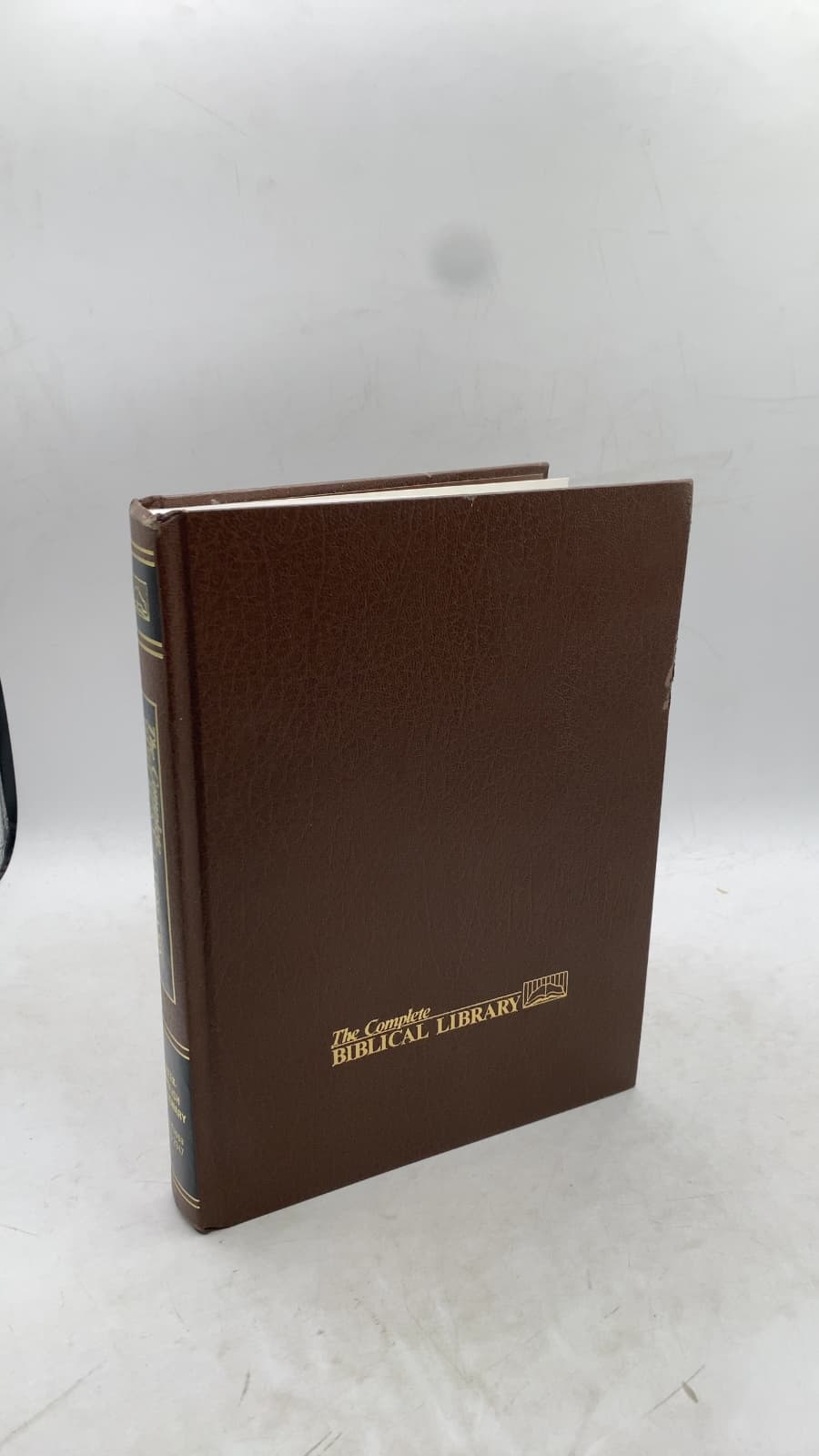 The New Testament Greek-English Dictionary by Thoralf Gilbrant - front cover
