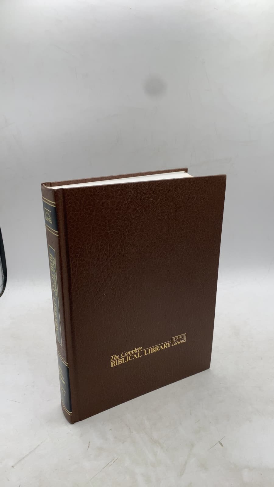 The New Testament Greek-English Dictionary by Thoralf Gilbrant - front cover