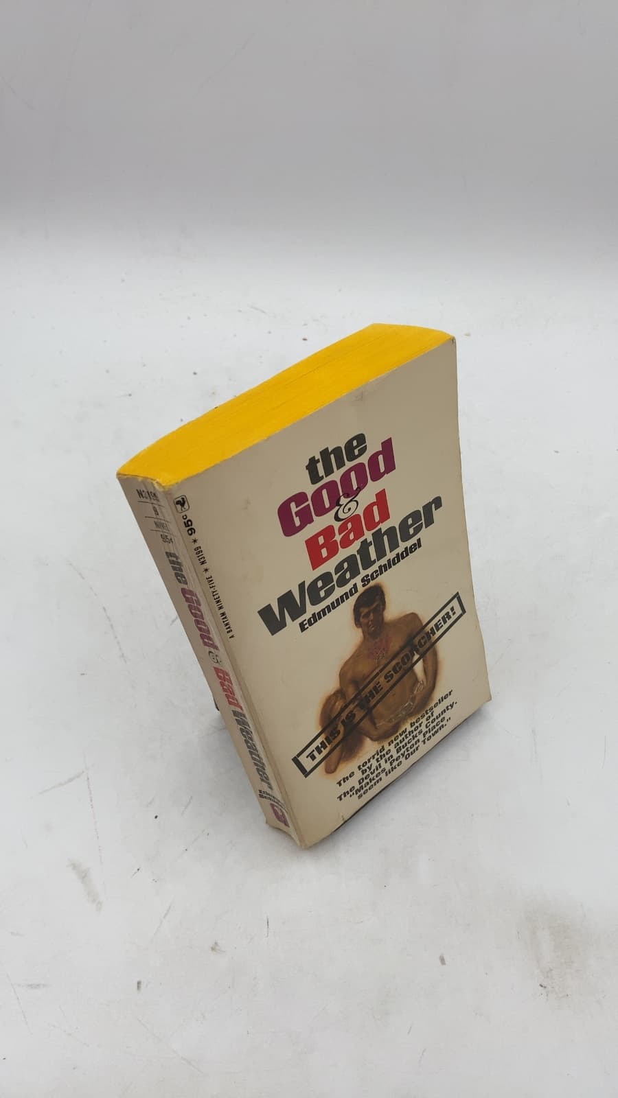 the Good & Bad Weather by Edmund Schiddel - front cover