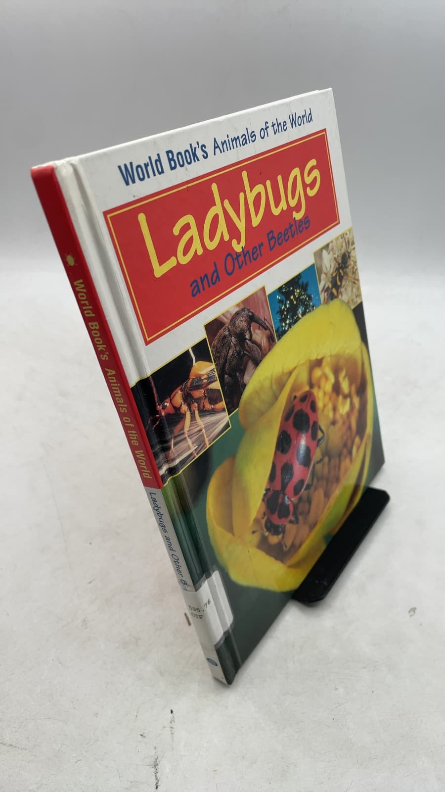 Ladybugs and Other Beetles by Steven Otfinoski - front cover