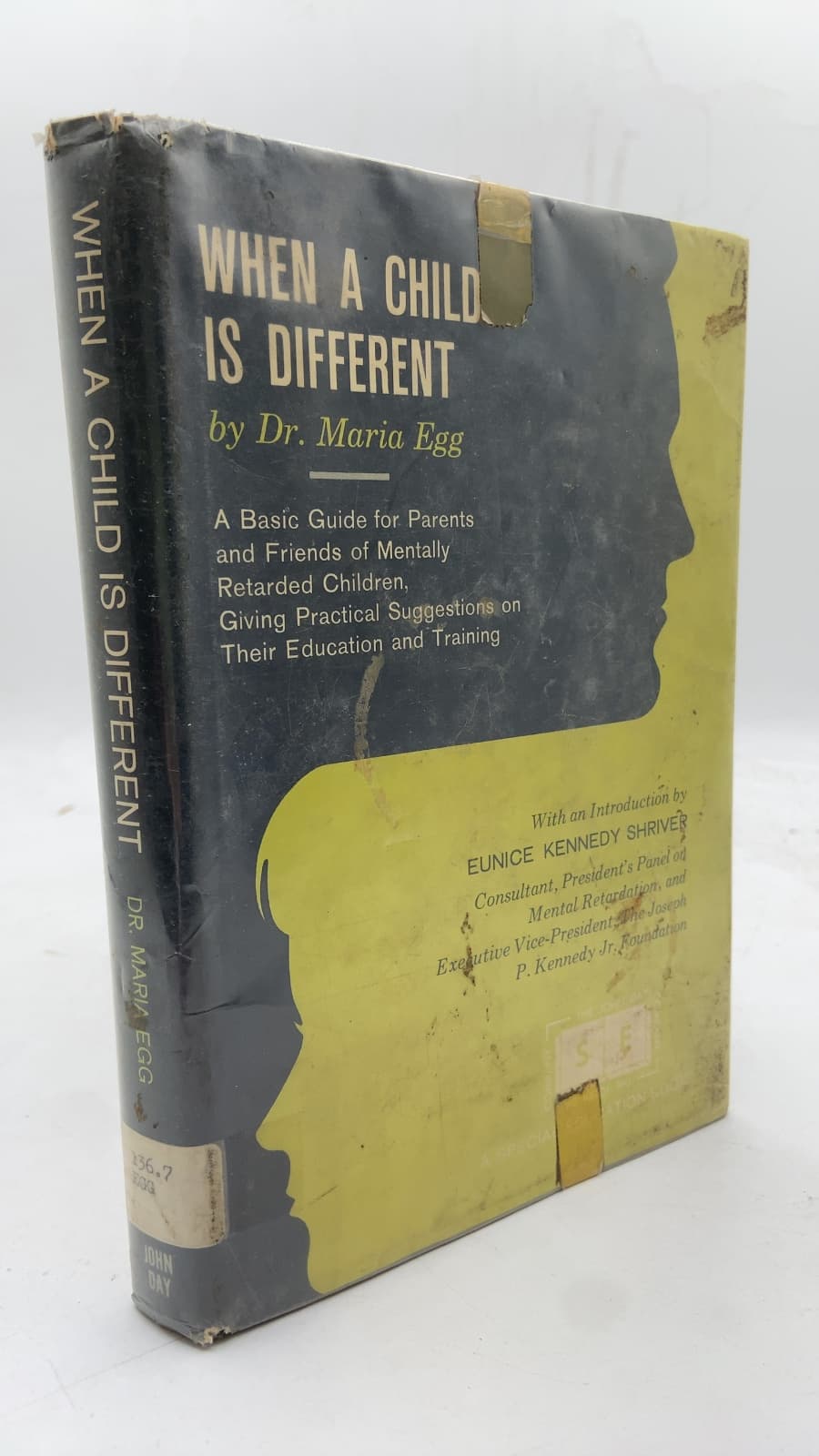 When A Child IS Different by Dr. Maria EGG - front cover