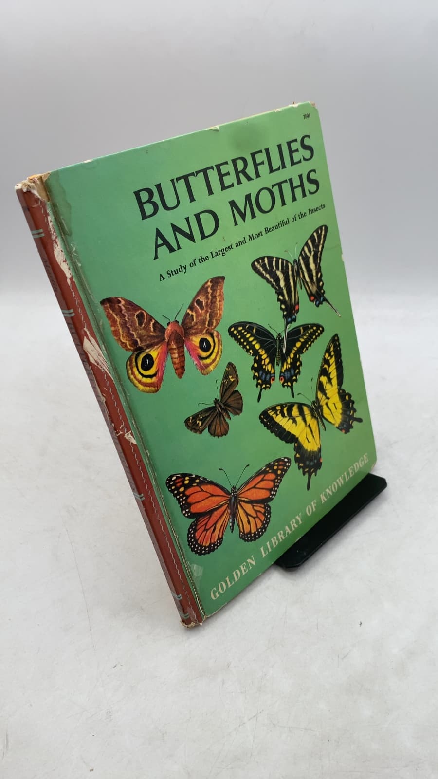 Butterflies and Moths: A Study of the Largest and Most Beautiful of the Insects by Richard A. Martin - front cover