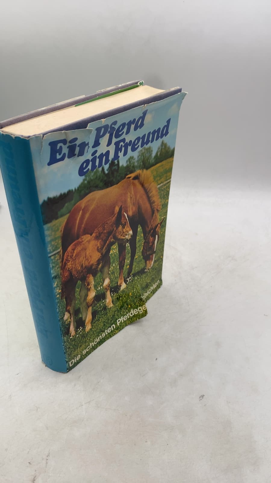 Ein Pferd ein Freund: Die schönsten Pferdegeschichten by Herausgegeben von Ute und Georg Seeßlen - front cover