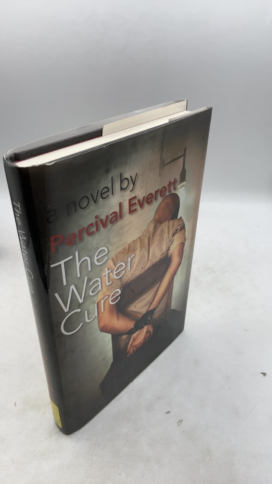 The Water Cure by Percival Everett - front cover